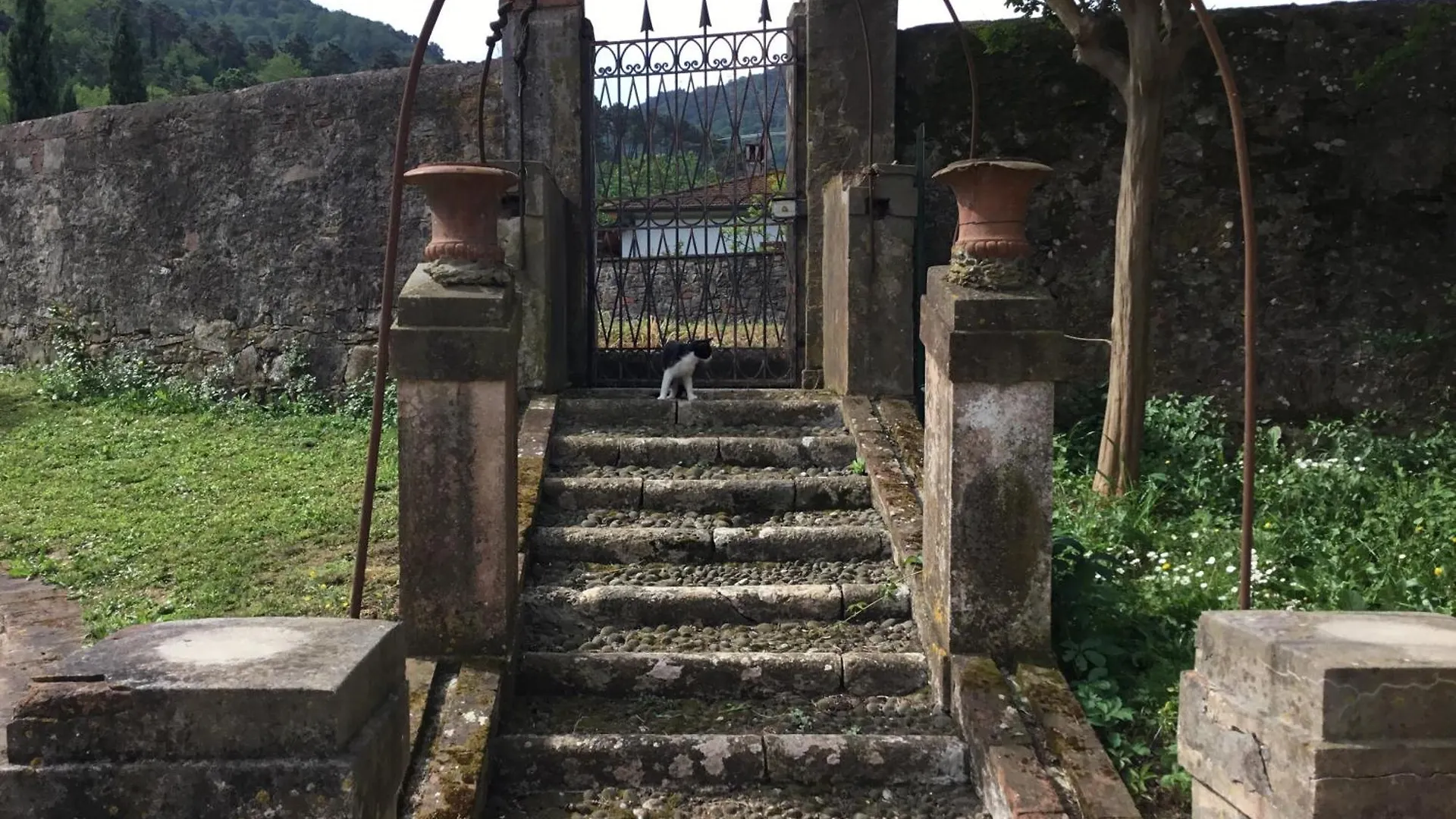 Apartamento Villa Tambellini De Fondra Lucca